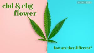 CBD vs CBG Flower - Modest Hemp Co. 