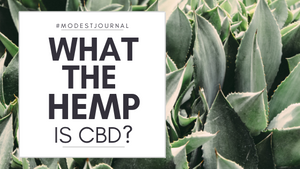 What the Hemp is CBD?
